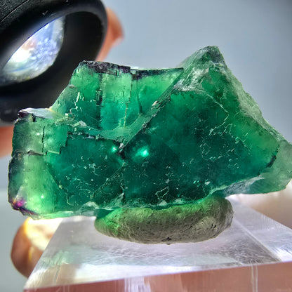 Spécimen de cube de fluorite fantôme, vert parqueté Okorusu, Namibie 36*21*17mm 