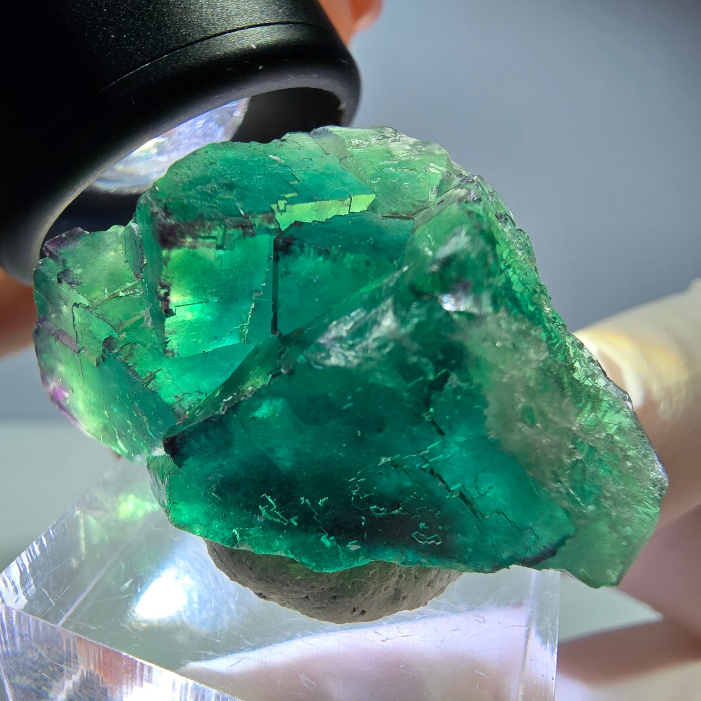 Spécimen de cube de fluorite fantôme, vert parqueté Okorusu, Namibie 36*21*17mm 