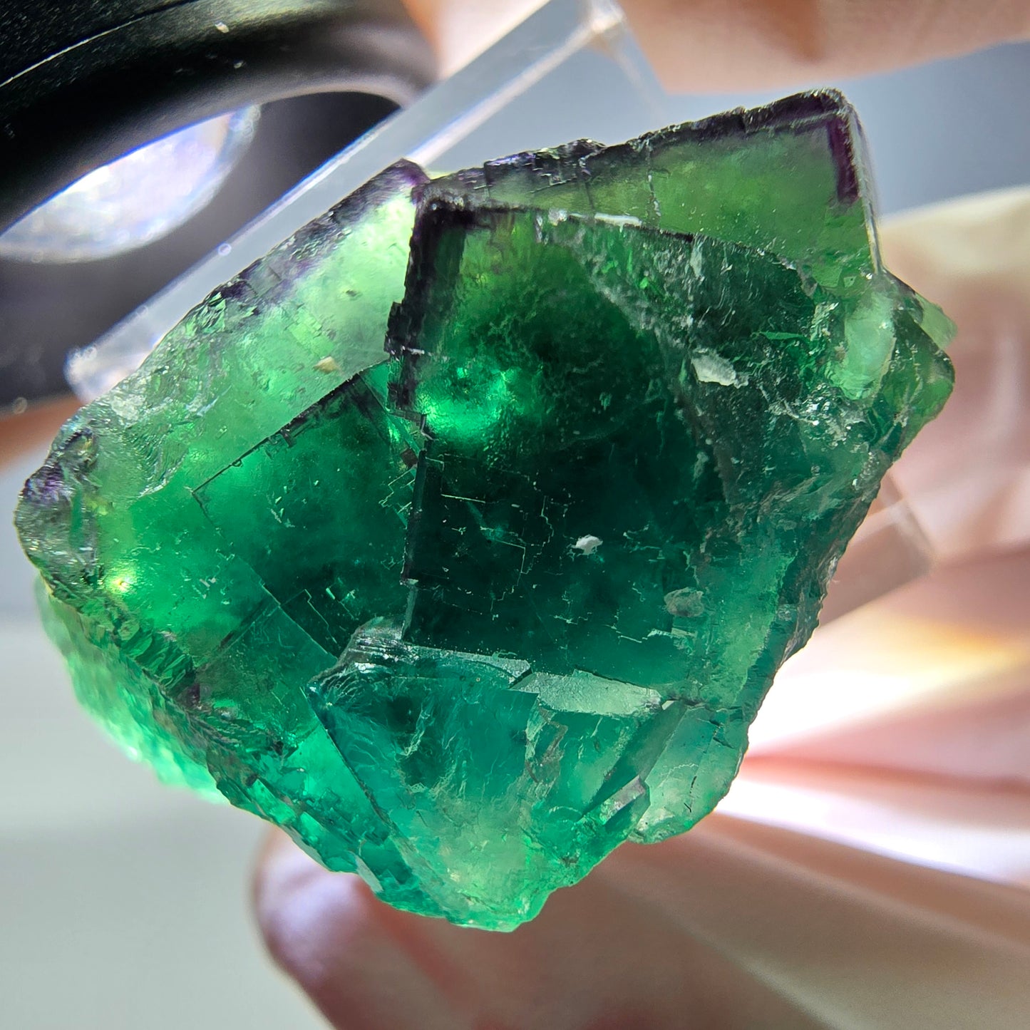 Spécimen de cube de fluorite fantôme, vert parqueté Okorusu, Namibie 36*21*17mm 
