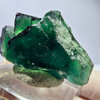 Spécimen de cube de fluorite fantôme, vert parqueté Okorusu, Namibie 36*21*17mm 