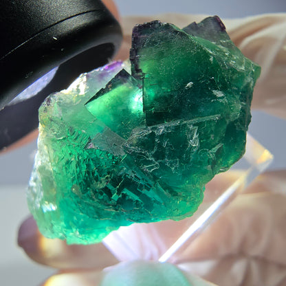 Spécimen de cube de fluorite fantôme, vert parqueté Okorusu, Namibie 36*21*17mm 