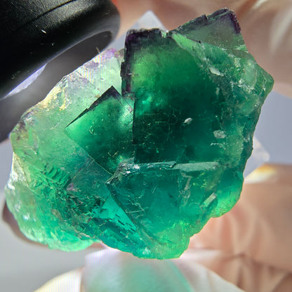 Spécimen de cube de fluorite fantôme, vert parqueté Okorusu, Namibie 36*21*17mm 