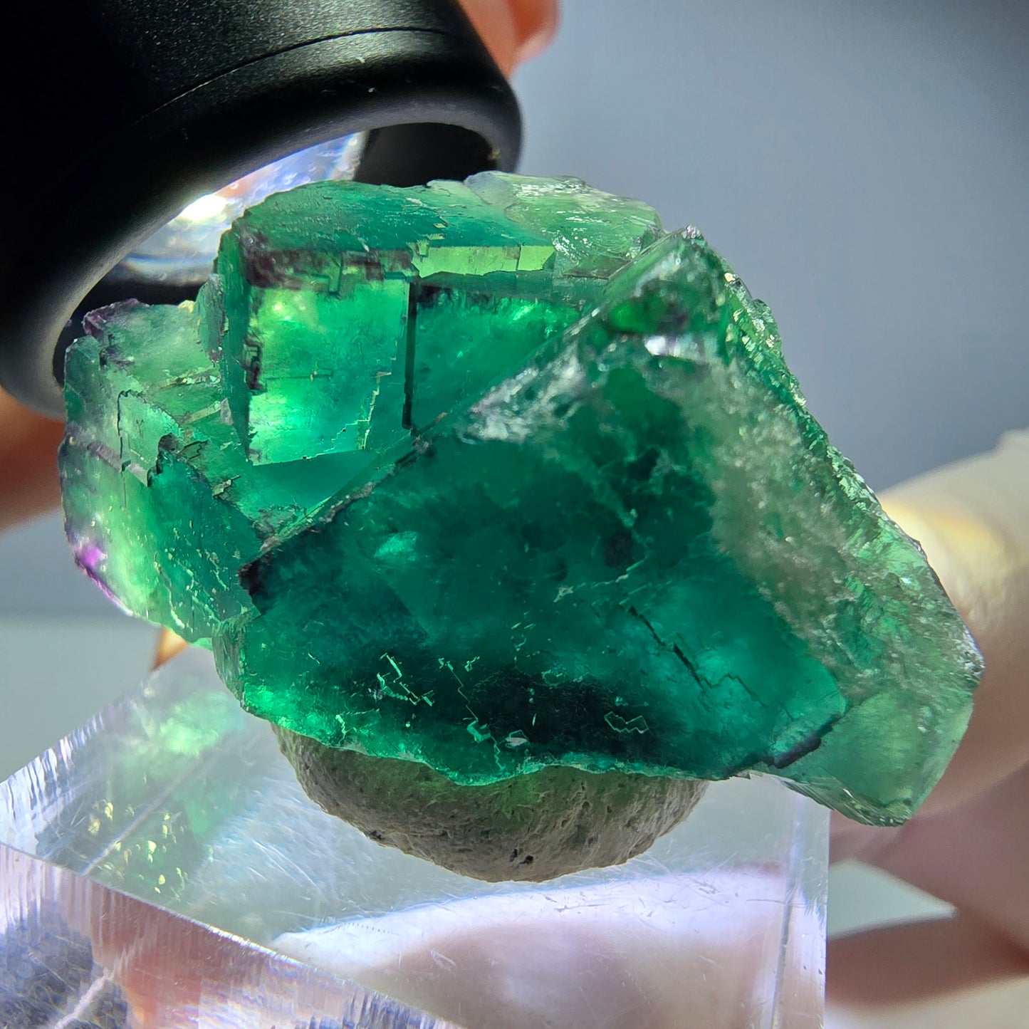 Spécimen de cube de fluorite fantôme, vert parqueté Okorusu, Namibie 36*21*17mm 