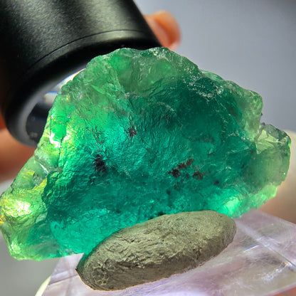 Spécimen de cube de fluorite fantôme, vert parqueté Okorusu, Namibie 36*21*17mm 