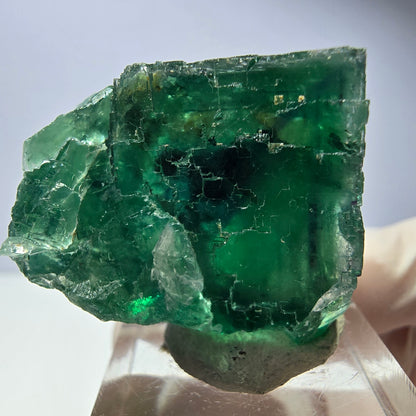 Spécimen de cube de fluorite fantôme, vert parqueté Okorusu, Namibie 34*28*23mm 