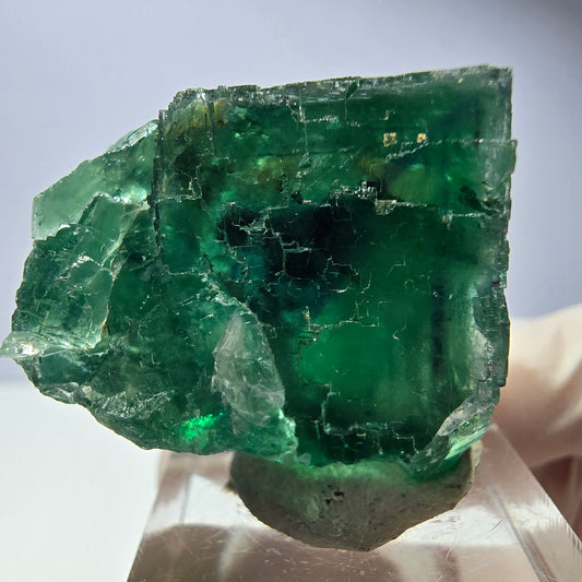 Spécimen de cube de fluorite fantôme, vert parqueté Okorusu, Namibie 34*28*23mm 