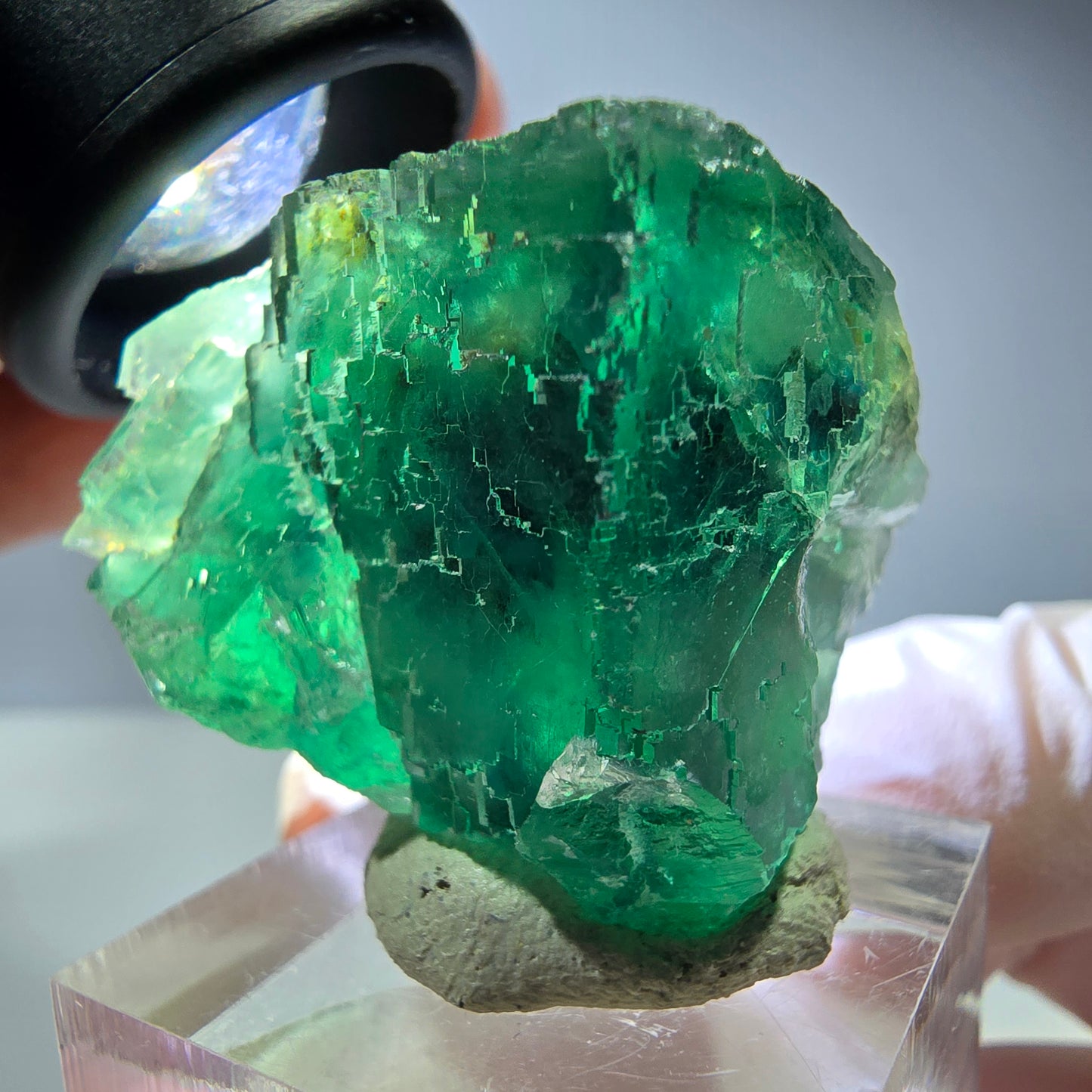 Spécimen de cube de fluorite fantôme, vert parqueté Okorusu, Namibie 34*28*23mm 