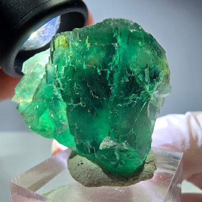 Spécimen de cube de fluorite fantôme, vert parqueté Okorusu, Namibie 34*28*23mm 