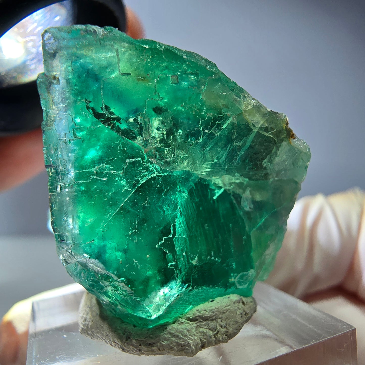 Spécimen de cube de fluorite fantôme, vert parqueté Okorusu, Namibie 34*28*23mm 