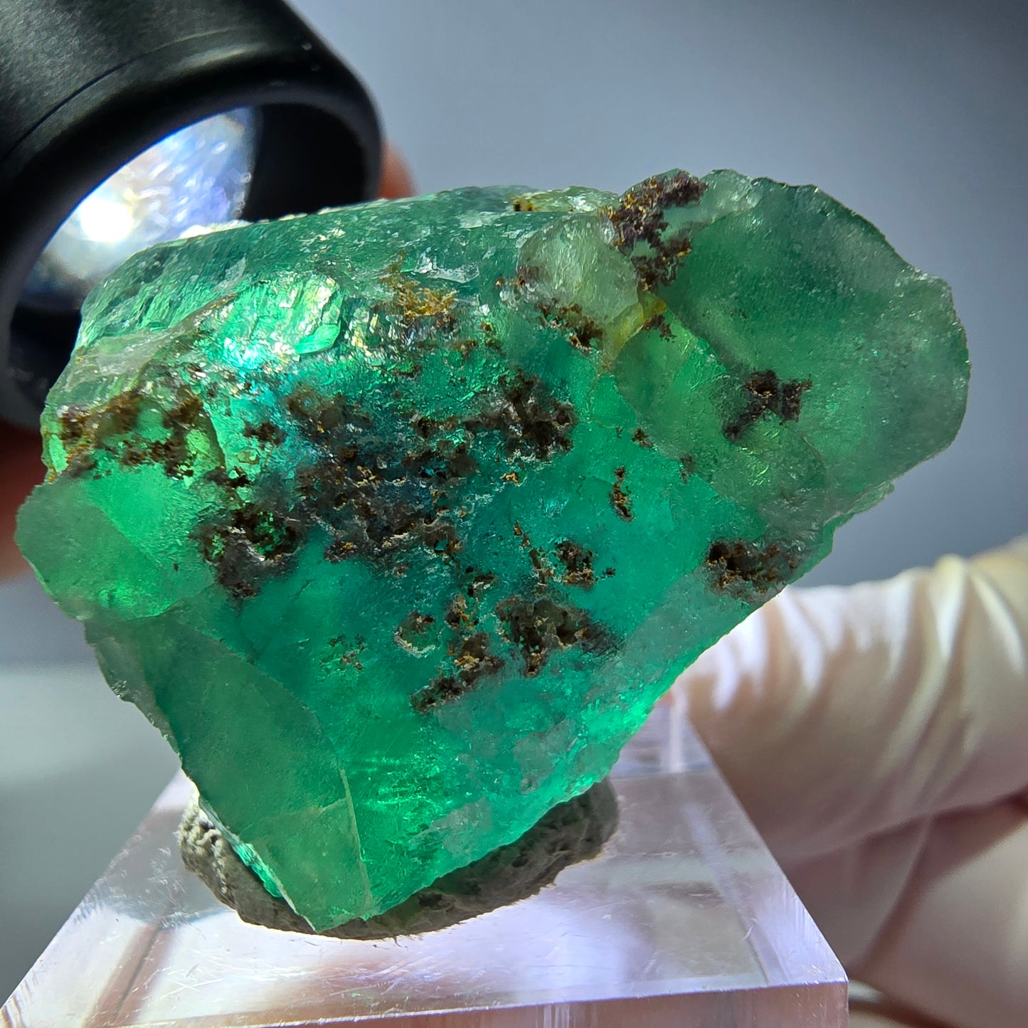 Spécimen de cube de fluorite fantôme, vert parqueté Okorusu, Namibie 34*28*23mm 