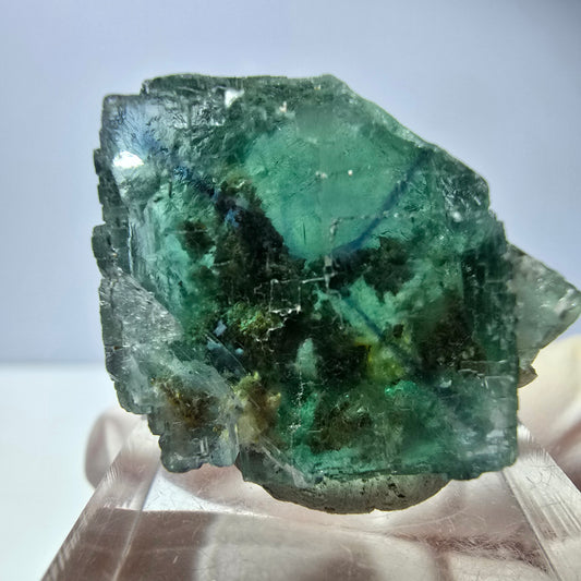Spécimen de cube de fluorite fantôme, vert parqueté Okorusu, Namibie 26*22*16 mm 