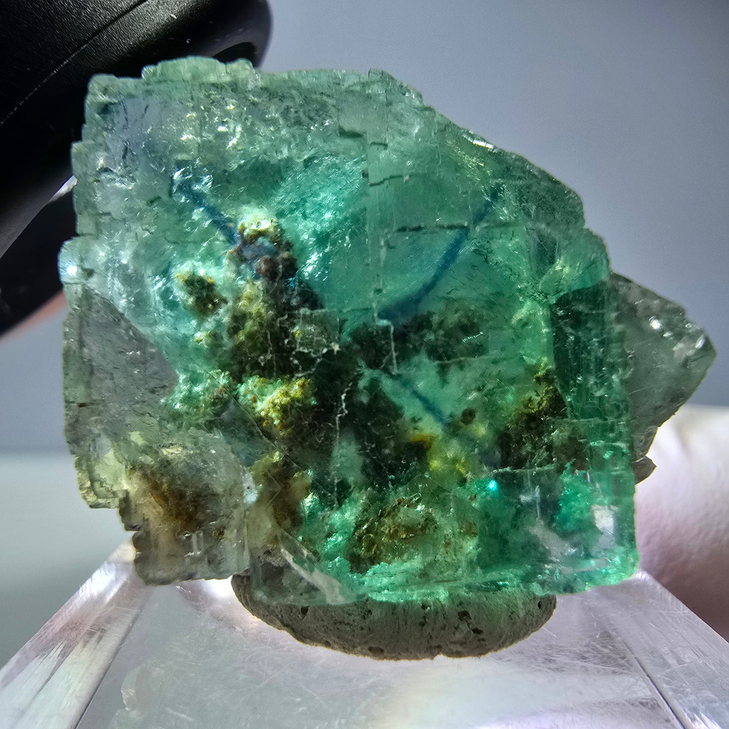 Spécimen de cube de fluorite fantôme, vert parqueté Okorusu, Namibie 26*22*16 mm 