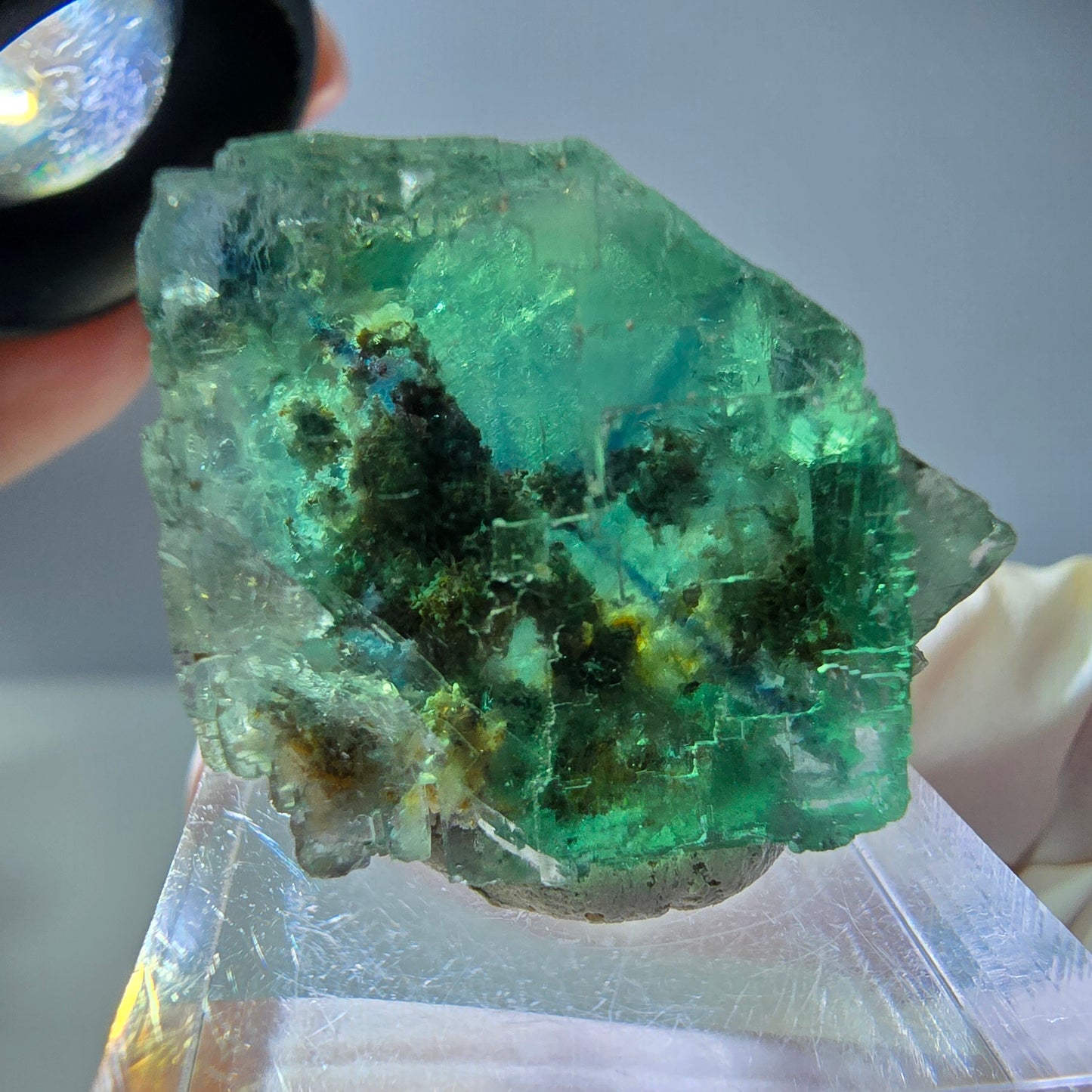 Spécimen de cube de fluorite fantôme, vert parqueté Okorusu, Namibie 26*22*16 mm 