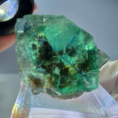 Spécimen de cube de fluorite fantôme, vert parqueté Okorusu, Namibie 26*22*16 mm 