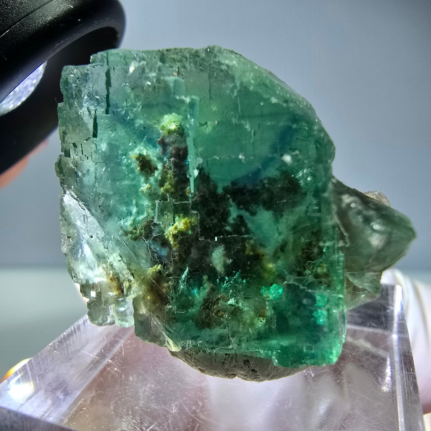 Spécimen de cube de fluorite fantôme, vert parqueté Okorusu, Namibie 26*22*16 mm 
