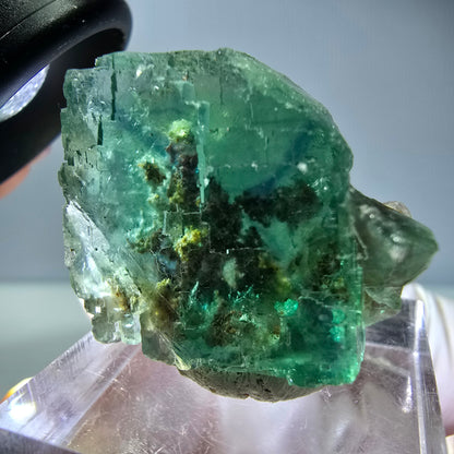 Spécimen de cube de fluorite fantôme, vert parqueté Okorusu, Namibie 26*22*16 mm 