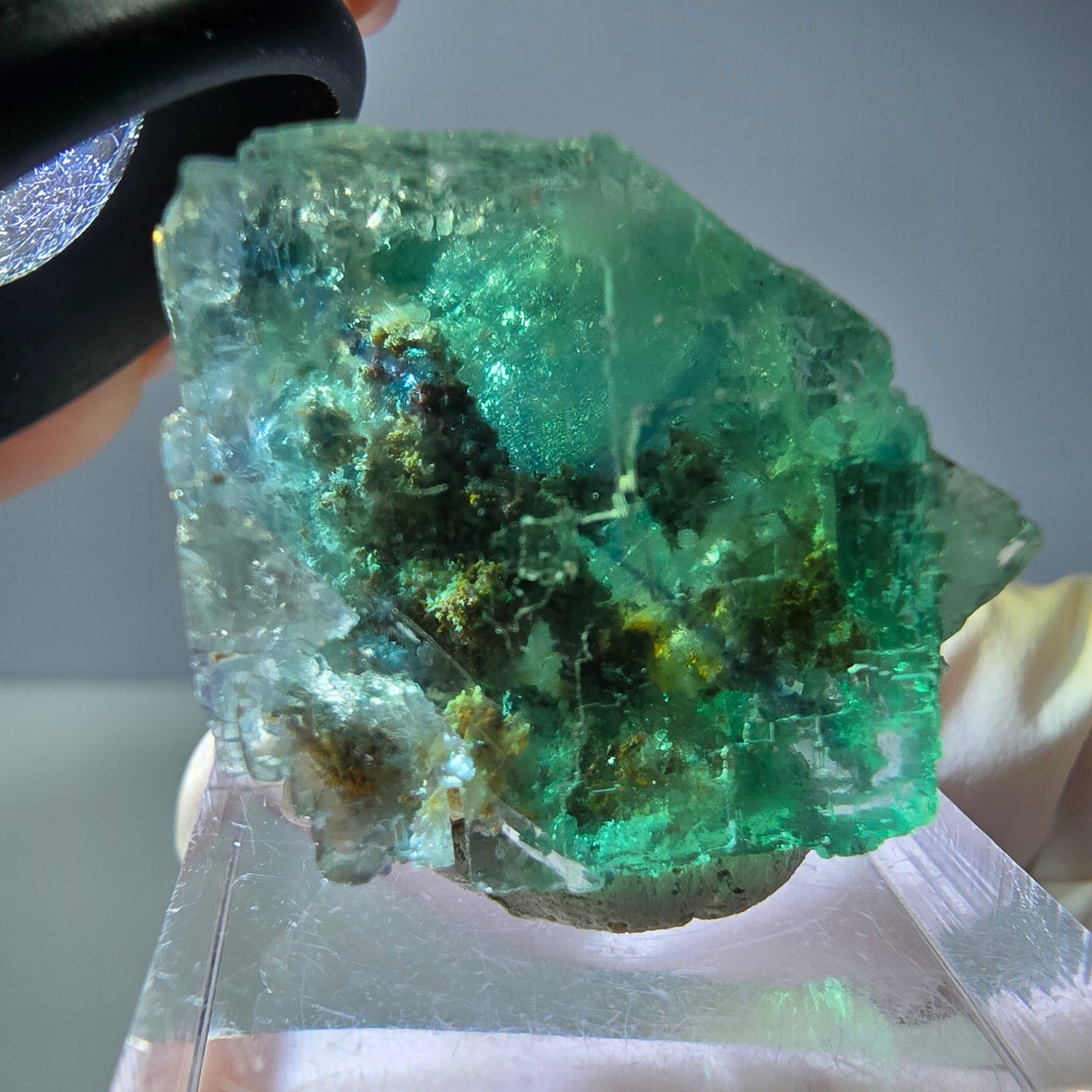 Spécimen de cube de fluorite fantôme, vert parqueté Okorusu, Namibie 26*22*16 mm 