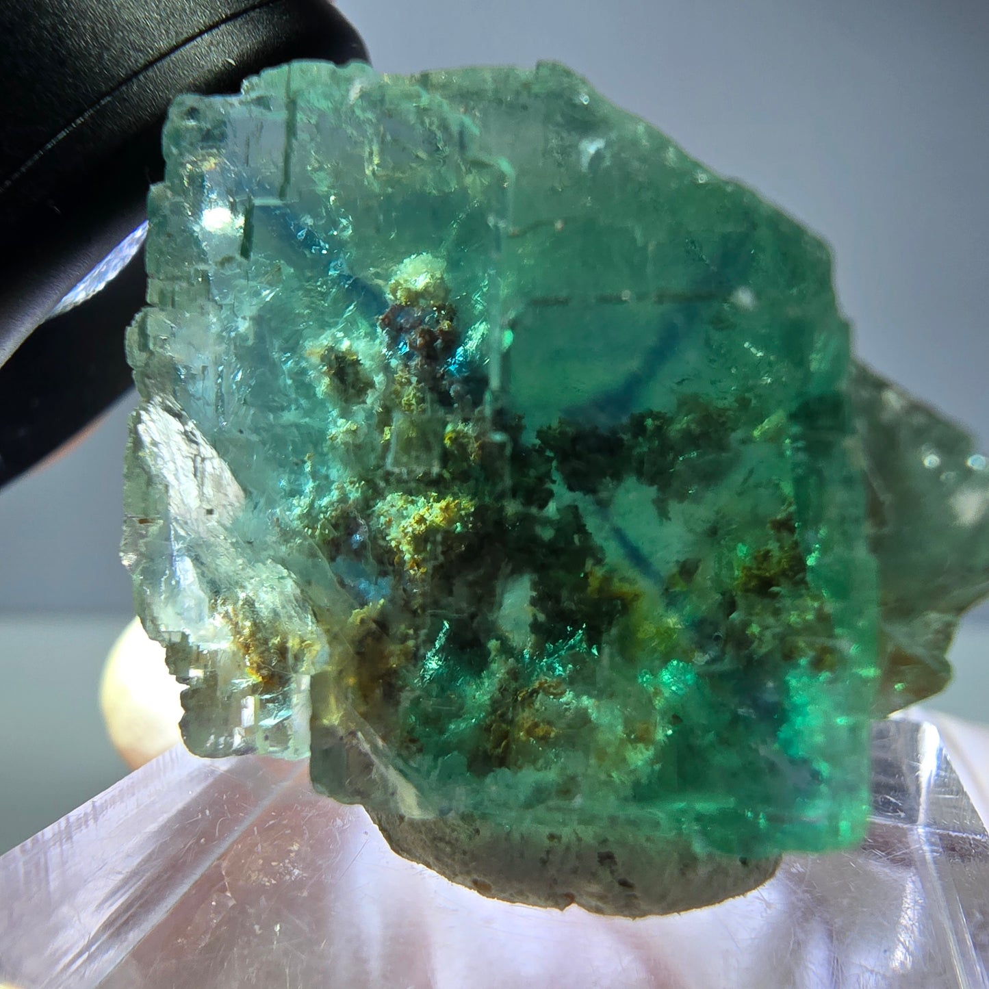 Spécimen de cube de fluorite fantôme, vert parqueté Okorusu, Namibie 26*22*16 mm 