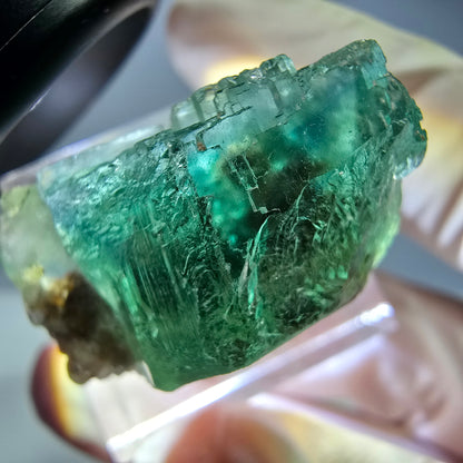 Spécimen de cube de fluorite fantôme, vert parqueté Okorusu, Namibie 26*22*16 mm 