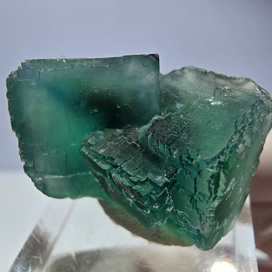 Spécimen de cube de fluorite fantôme, vert parqueté Okorusu, Namibie 31*23*19mm 