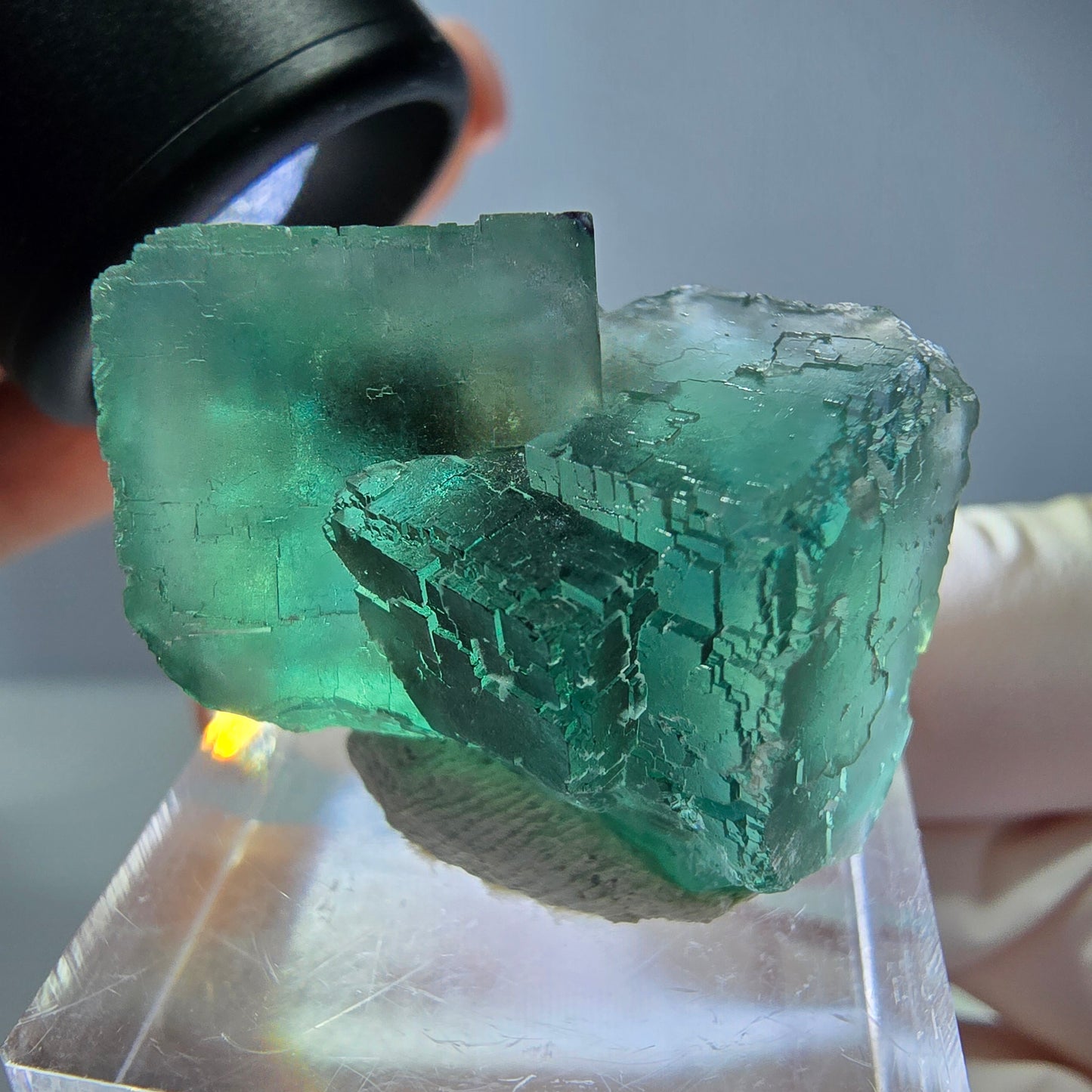 Spécimen de cube de fluorite fantôme, vert parqueté Okorusu, Namibie 31*23*19mm 