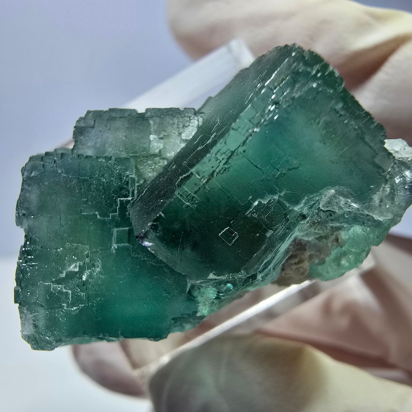 Spécimen de cube de fluorite fantôme, vert parqueté Okorusu, Namibie 31*23*19mm 