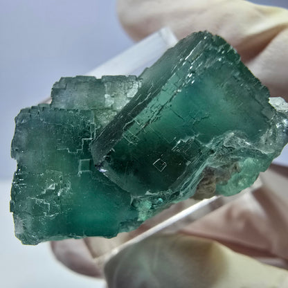 Spécimen de cube de fluorite fantôme, vert parqueté Okorusu, Namibie 31*23*19mm 
