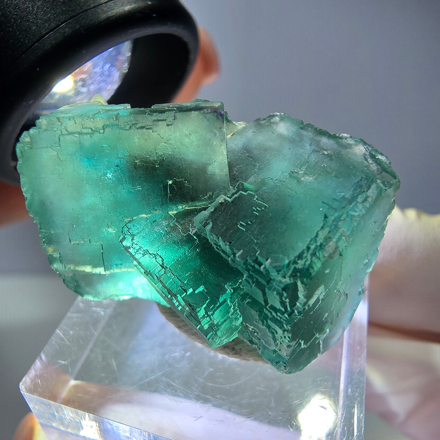 Spécimen de cube de fluorite fantôme, vert parqueté Okorusu, Namibie 31*23*19mm 