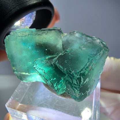 Spécimen de cube de fluorite fantôme, vert parqueté Okorusu, Namibie 31*23*19mm 