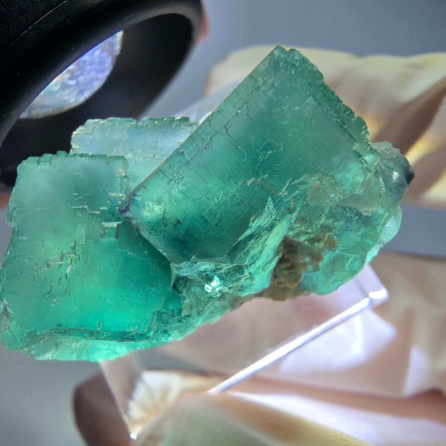 Spécimen de cube de fluorite fantôme, vert parqueté Okorusu, Namibie 31*23*19mm 