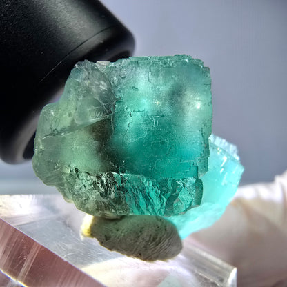 Spécimen de cube de fluorite fantôme, vert parqueté Okorusu, Namibie 31*23*19mm 