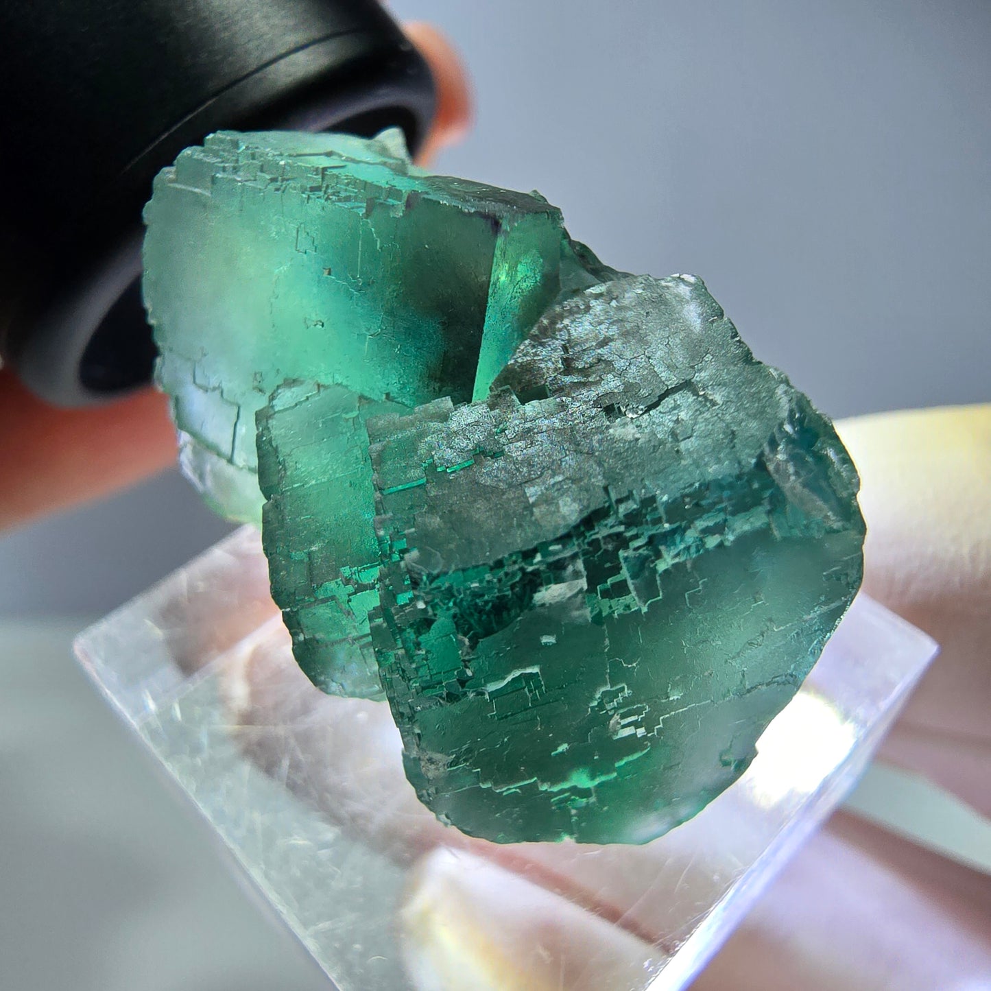 Spécimen de cube de fluorite fantôme, vert parqueté Okorusu, Namibie 31*23*19mm 
