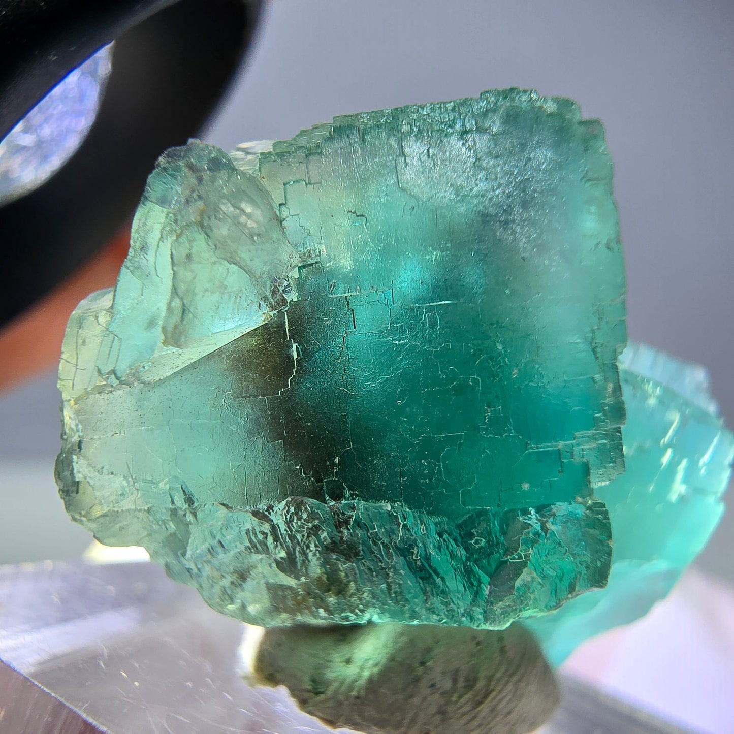 Spécimen de cube de fluorite fantôme, vert parqueté Okorusu, Namibie 31*23*19mm 