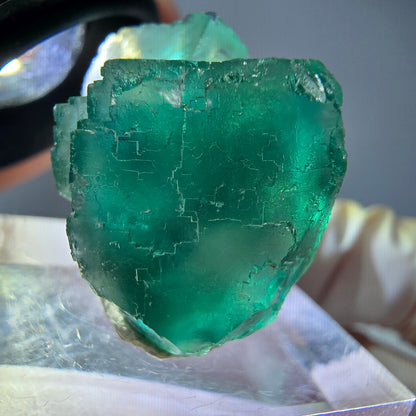 Spécimen de cube de fluorite fantôme, vert parqueté Okorusu, Namibie 31*23*19mm 