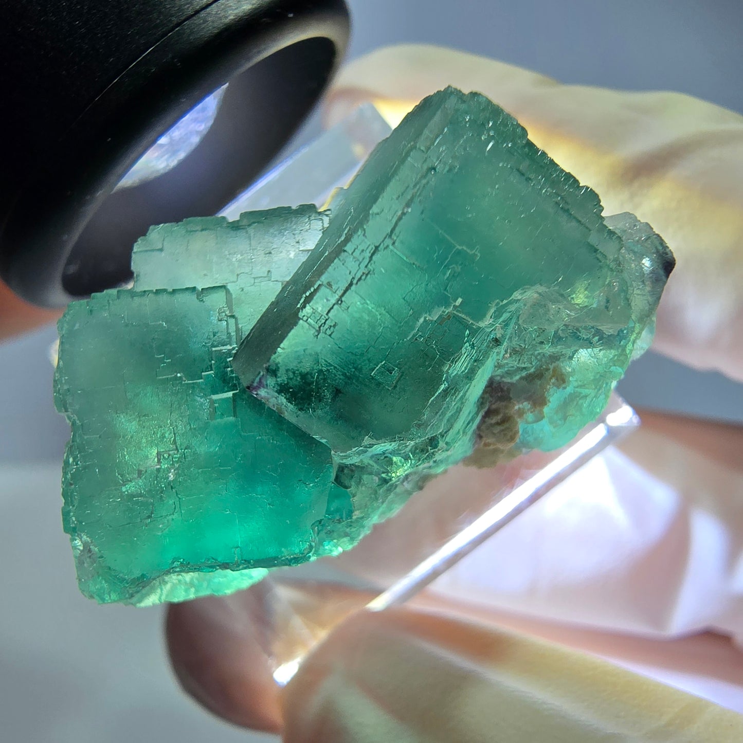 Spécimen de cube de fluorite fantôme, vert parqueté Okorusu, Namibie 31*23*19mm 