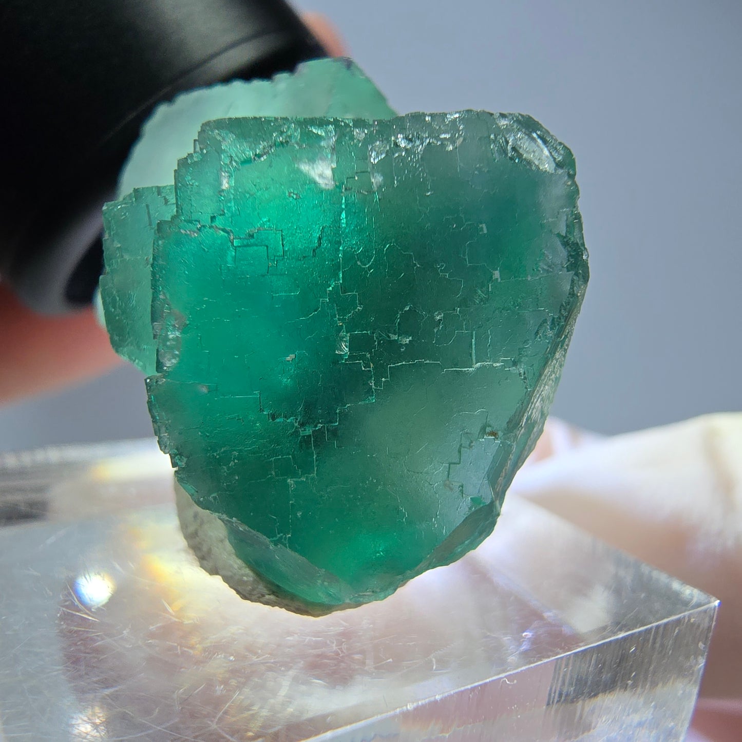 Spécimen de cube de fluorite fantôme, vert parqueté Okorusu, Namibie 31*23*19mm 
