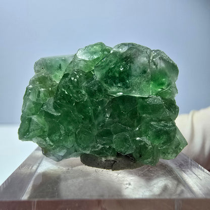 Phantom Fluorit, Schörl Turmalin Stufe, grün Erongo, Namibia 28*20*14mm