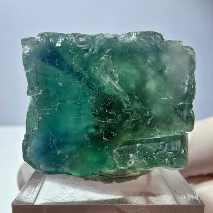 Spécimen de cube de fluorite fantôme, vert parqueté Okorusu, Namibie 29*26*25 mm 