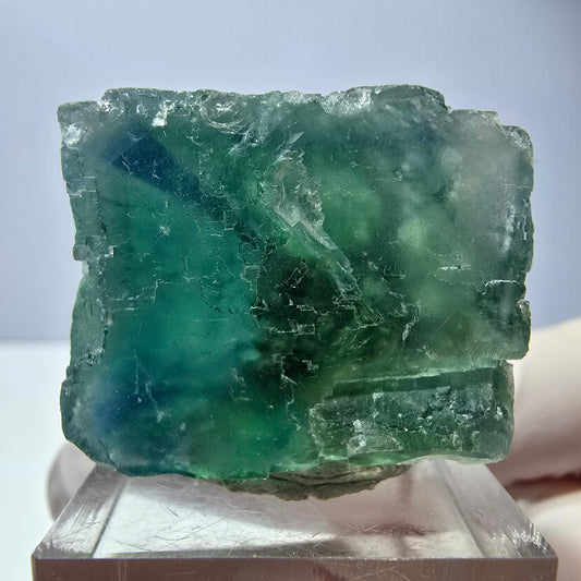 Spécimen de cube de fluorite fantôme, vert parqueté Okorusu, Namibie 29*26*25 mm 