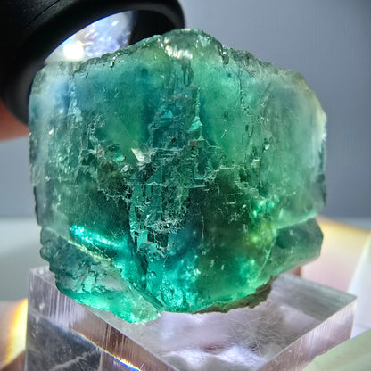 Spécimen de cube de fluorite fantôme, vert parqueté Okorusu, Namibie 29*26*25 mm 