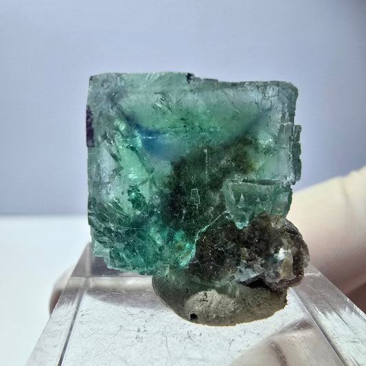 Spécimen de cube de fluorite fantôme, vert parqueté Okorusu, Namibie 21*20*15 mm 