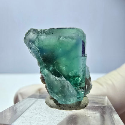 Spécimen de cube de fluorite fantôme, vert parqueté Okorusu, Namibie 21*20*15 mm 