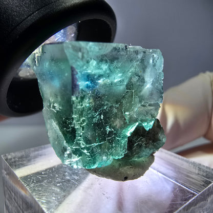 Spécimen de cube de fluorite fantôme, vert parqueté Okorusu, Namibie 21*20*15 mm 