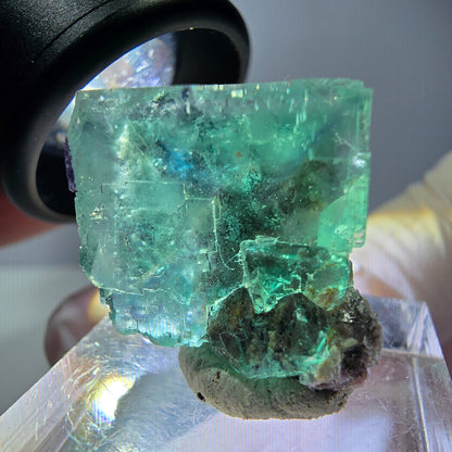 Spécimen de cube de fluorite fantôme, vert parqueté Okorusu, Namibie 21*20*15 mm 