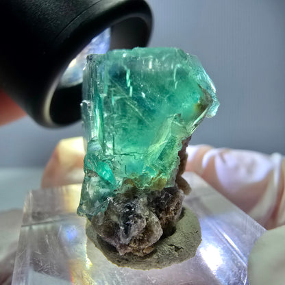 Spécimen de cube de fluorite fantôme, vert parqueté Okorusu, Namibie 21*20*15 mm 