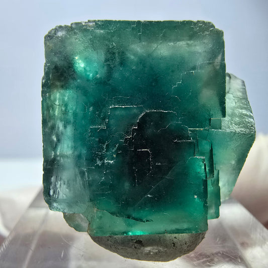 Spécimen de cube de fluorite fantôme, vert parqueté Okorusu, Namibie 23*20*16 mm 