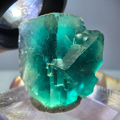 Spécimen de cube de fluorite fantôme, vert parqueté Okorusu, Namibie 23*20*16 mm 