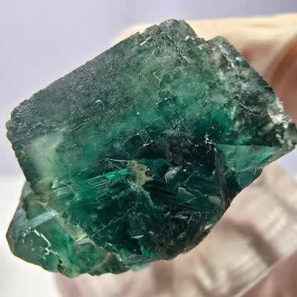 Spécimen de cube de fluorite fantôme, vert parqueté Okorusu, Namibie 23*20*16 mm 