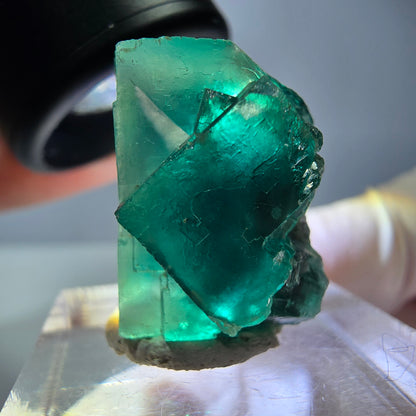 Spécimen de cube de fluorite fantôme, vert parqueté Okorusu, Namibie 23*20*16 mm 