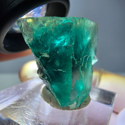 Spécimen de cube de fluorite fantôme, vert parqueté Okorusu, Namibie 23*20*16 mm 